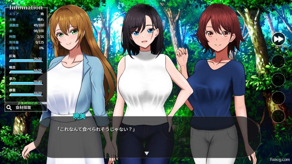 无人岛社员旅行记：少女们的生存战略  無人島社員旅行記 女たちの生存戦略 截图 3 缩略图